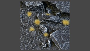 Gamers Grass: Tiny Beige Tuft (2mm)