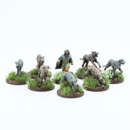 Saga: Pict/Scots Handler and Warhounds