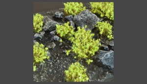 Gamers Grass: Green Schrubs Tuft